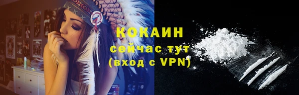 гашик Таштагол
