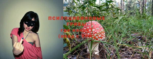 мдпв Кинешма