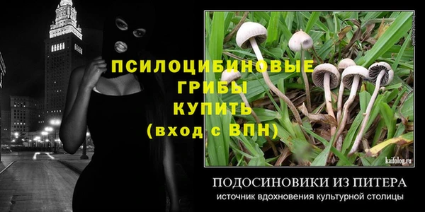 мдпв Кинешма