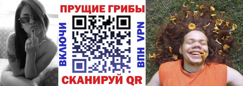 купить закладку Ачхой-Мартан Псилоцибиновые грибы мухоморы