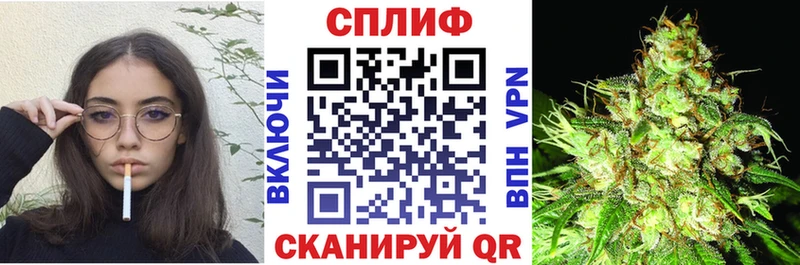 Бошки Шишки VHQ  цены   Ачхой-Мартан 